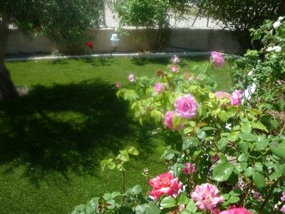 Nos prestations sur le secteur de Nîmes dans le Gard (30)